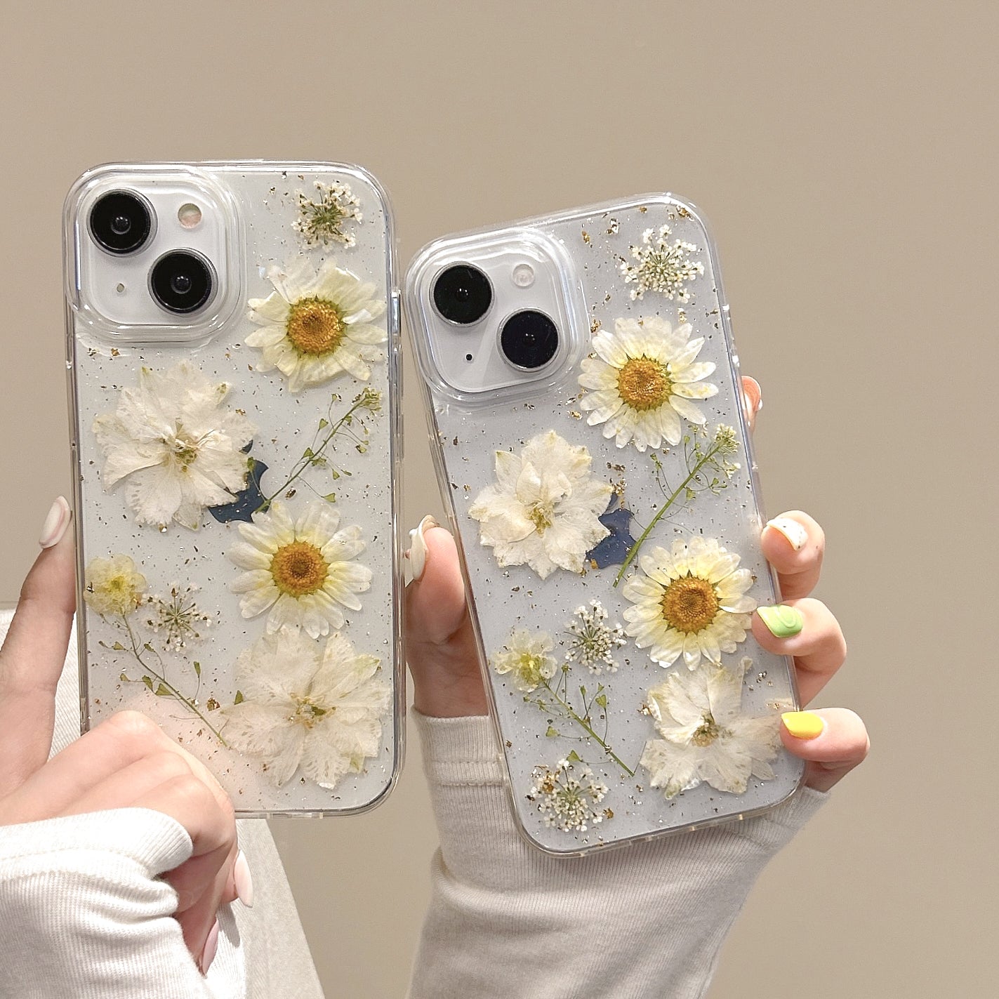 Pressed Daisy Flower iPhone Case